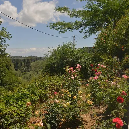 Georgia & Corfu Apartament *