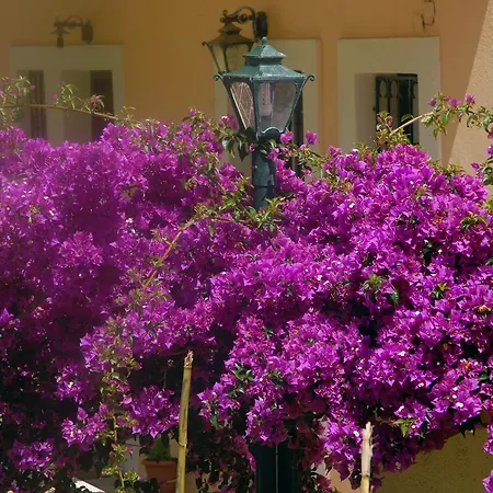 Lägenhet Georgia & Corfu