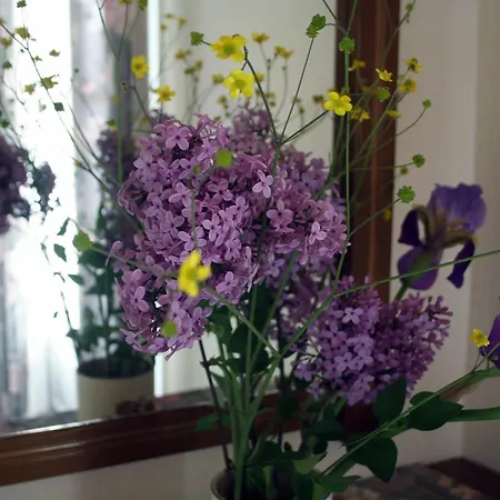 Georgia & Corfu Apartament Glyfada (Corfu)