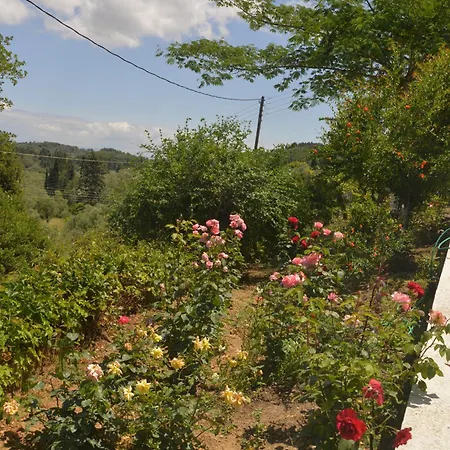 Apartamento Georgia & Corfu