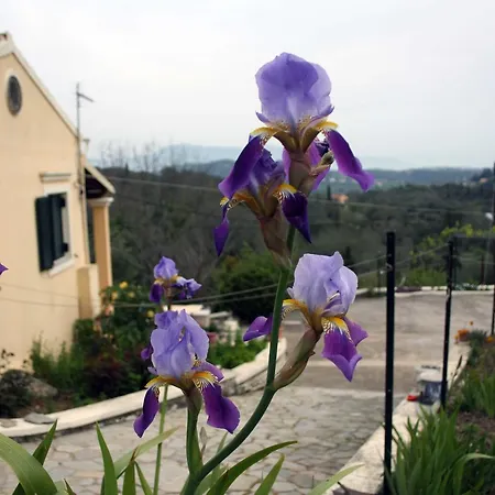 Georgia & Corfu