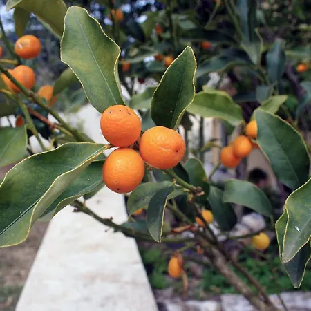 Georgia & Corfu Apartamento Glyfada (Corfu)