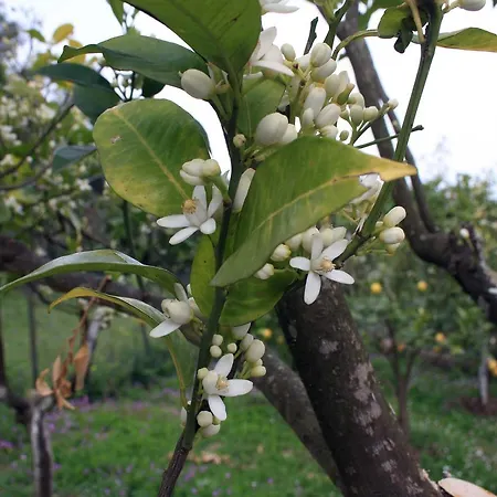 Apartamento Georgia & Corfu